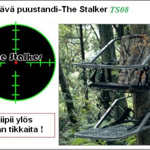 Kiipeävä puupassi