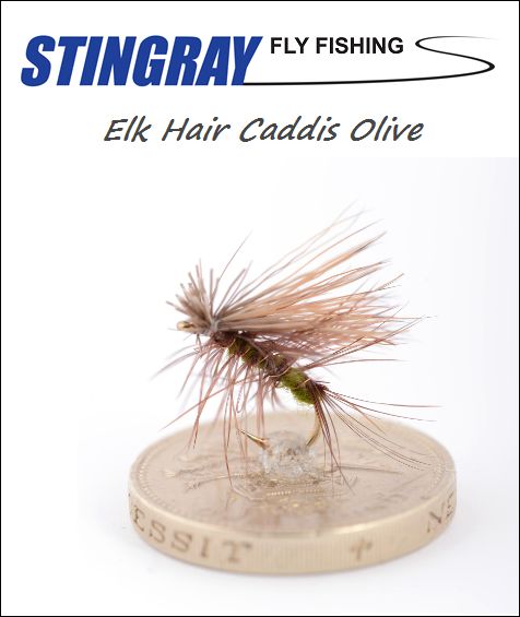Elk Hair Caddis Olive #16 pintaperho