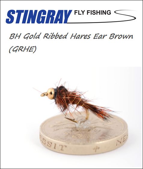 BH Gold Ribbed Hares Ear (GRHE) Brown #14 nymfi
