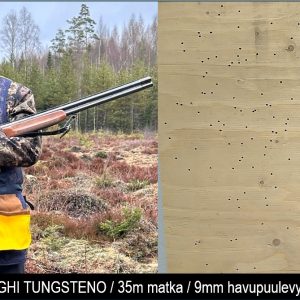 BORNAGHI TUNGSTENO Juha Hirvi