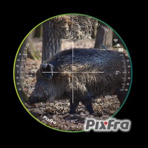 Pixfra Volans ristikko